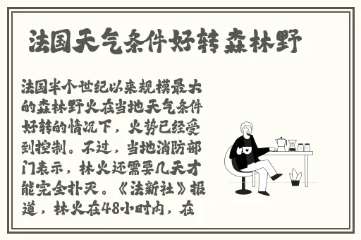 罗智莹寒假作业系列